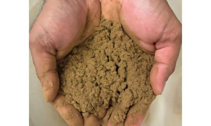 Plant-based lubricant outperforms talc and microplastics, offering a nontoxic alternative for seed dispersal