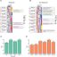 A less invasive, more effective method to analyze immunotherapy efficacy