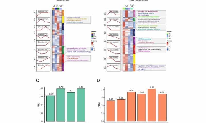 A less invasive, more effective method to analyze immunotherapy efficacy