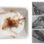 Seaweed makes for eco-friendly tissue scaffolds and reduces animal testing