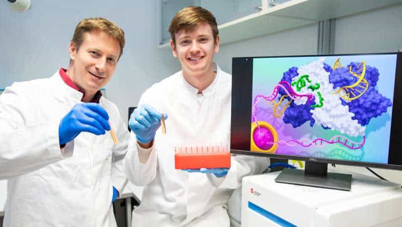 Sharper gene scissors for the biotechnology toolbox