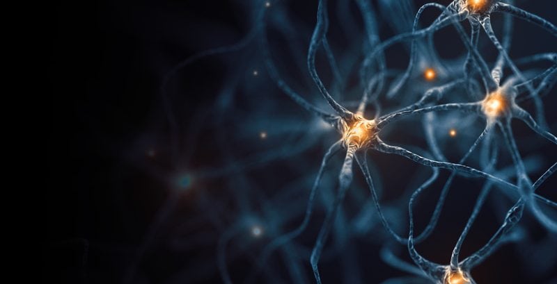 Genetic Mutations in Brains with CTE Similar to Those with Alzheimer’s