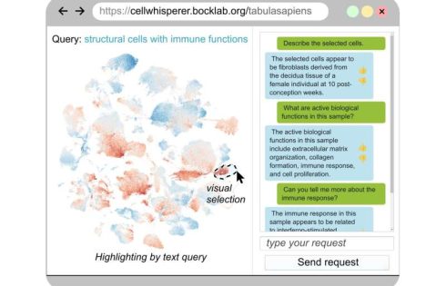 Chatting with your cells: Natural-language AI for single-cell data analysis