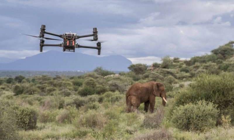 Drones: An ally in the sky to help save elephants