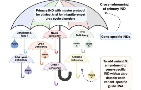 Researchers to test gene therapy for rare diseases with a new FDA trial protocol