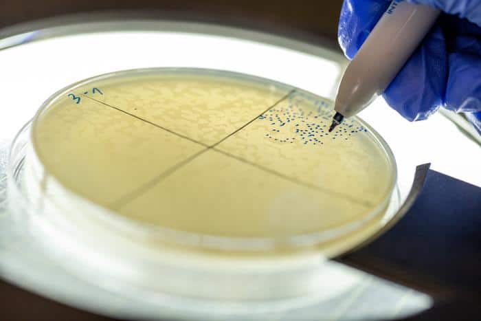 Viral sRNA Unlocks Phage Therapy Potential Against Drug-Resistant Bacteria