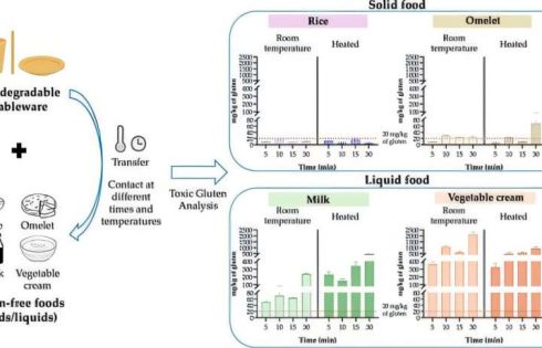 Biodegradable dishes could transfer gluten to foods, posing health risk to gluten-sensitive individuals