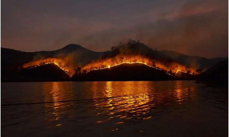 AI-powered vision gives meaning to wildfire chaos