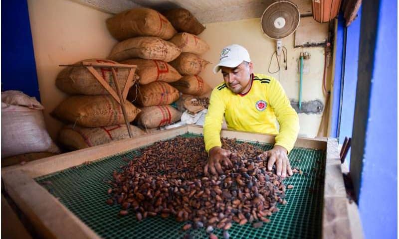 Improved mapping system ends farm mislabeling, protecting coffee and cacao trade