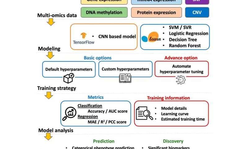 Researchers co-develop new deep learning platform to advance precision medicine