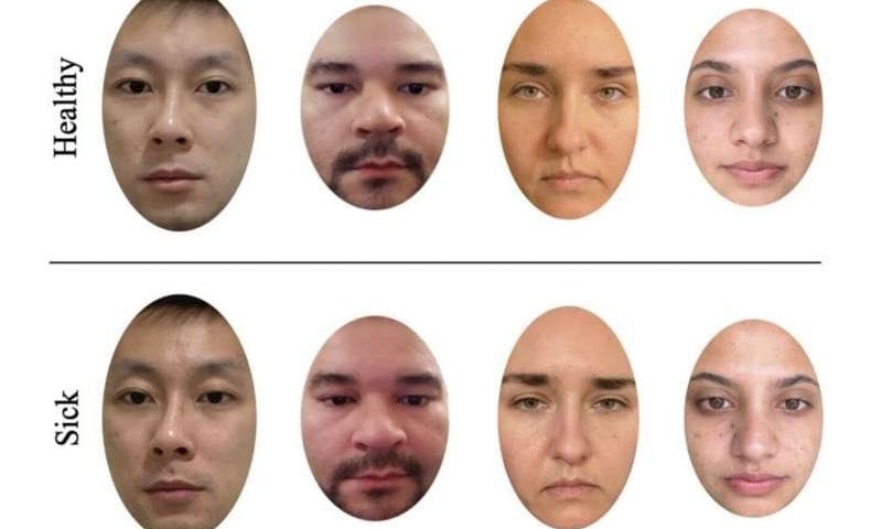 Women are better at recognizing illness in faces compared to men, study finds