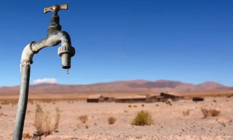 IPOs Slow to a Trickle in 2025 as Investors Grow More Discerning