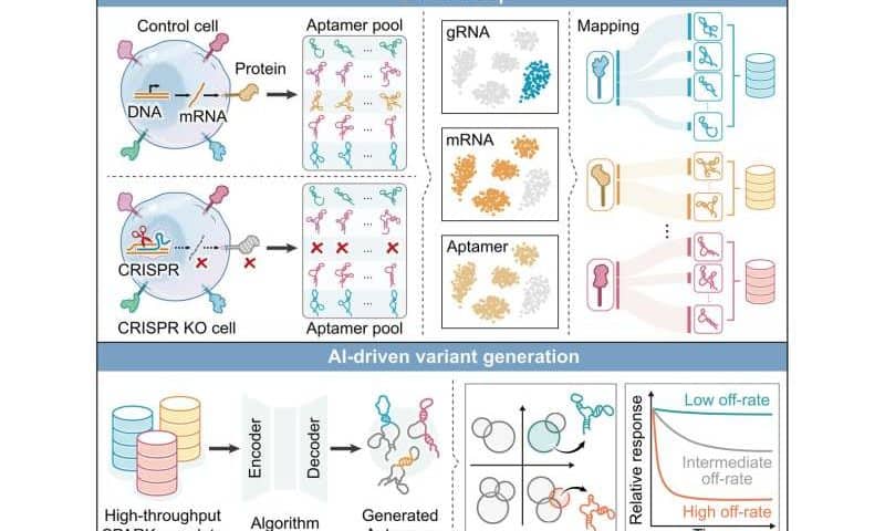 High-throughput platform enables aptamer discovery and kinetic profiling