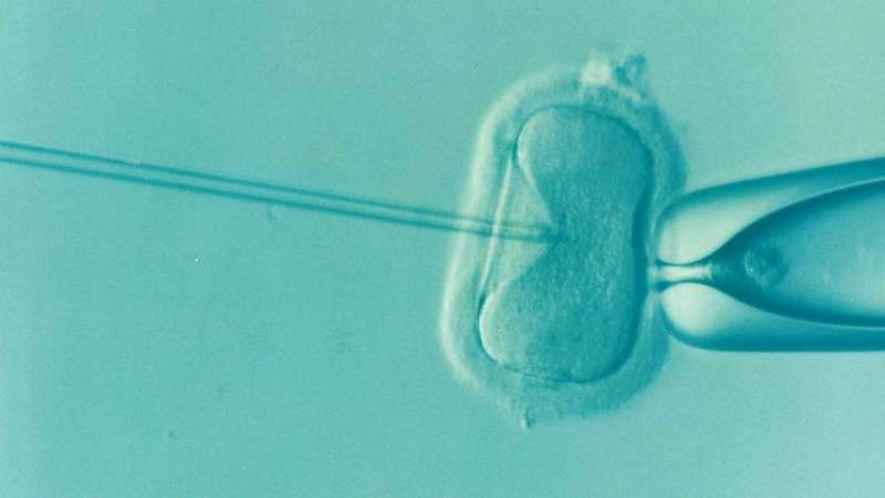 Assisted reproductive technology associated with higher risk of childhood atopic diseases