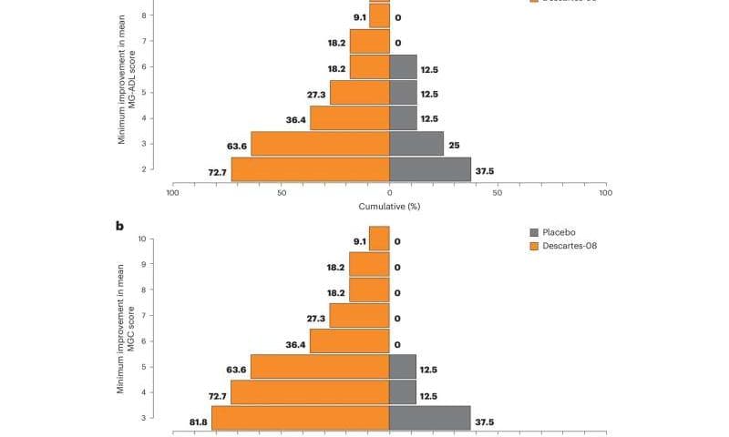 CAR T-cell therapy improves symptoms of myasthenia gravis, clinical trial shows