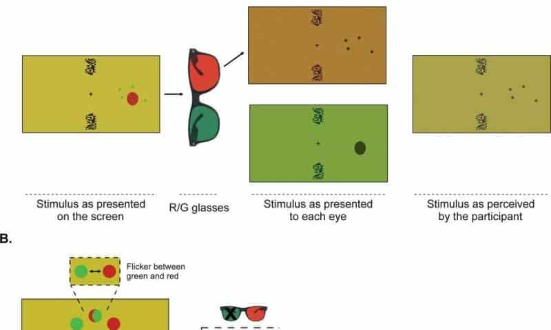 Why you hardly notice your blind spot: New tests pit three theories of consciousness