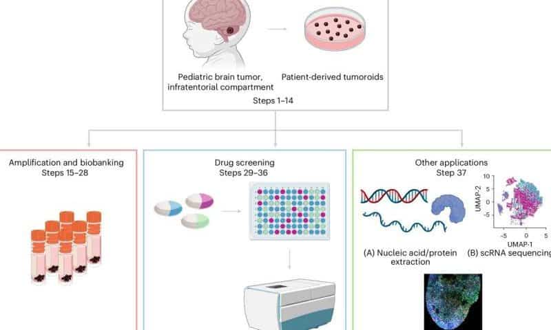 An avatar to study pediatric brain cancer may soon be a reality