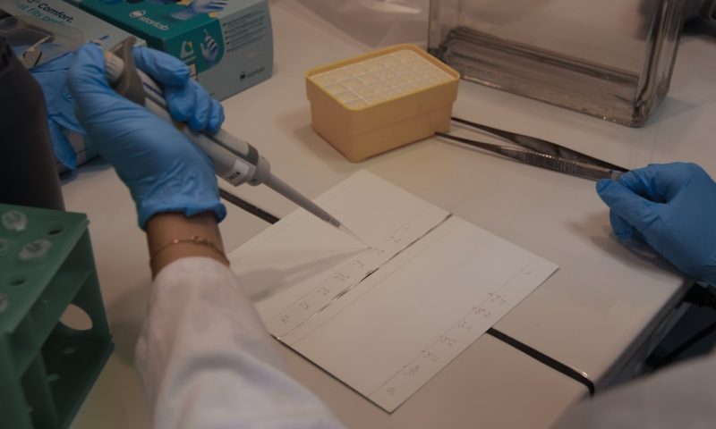 Market Forces Are Reshaping Healthcare Through Biosimilar Competition