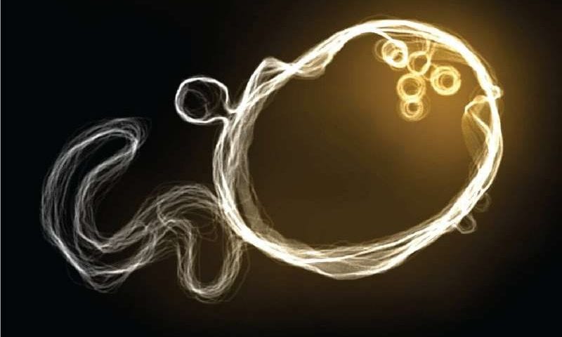 New imaging technique maps membrane lipids in 3D at nanoscale