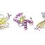 Designing proteins by their motion, not just their shape