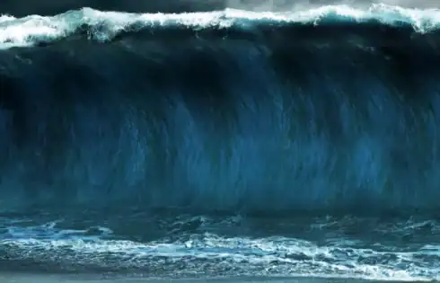 Wave Stock Cut in Half on Underwhelming Higher Dose Obesity Data