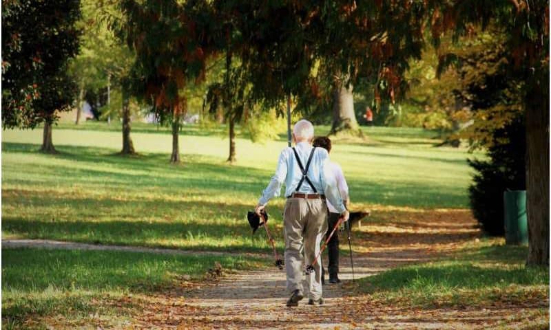 Frequent brisk activity sessions are linked to better brain health and executive function