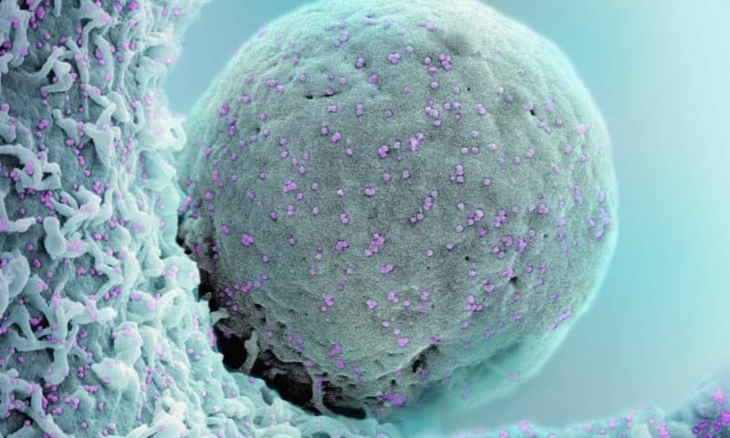 Why Gene Therapy Advances Are Creating the Next Trillion-Dollar Healthcare Revolution