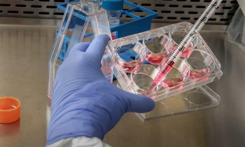 Gene Therapy Breakthrough Sends Biotech Stocks Soaring as Investors Eye New Treatment Possibilities