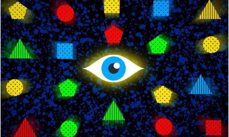 Eye tracking and brain signals reveal how some skills become second nature