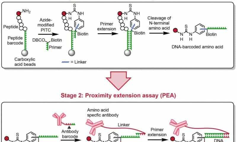 Protein sequencing advance offers new insights into life’s foundations