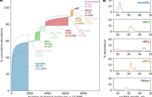 Small RNAs offer new clues to schizophrenia and bipolar disorder