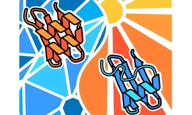 Thermogenetics: How proteins are controllable by heat