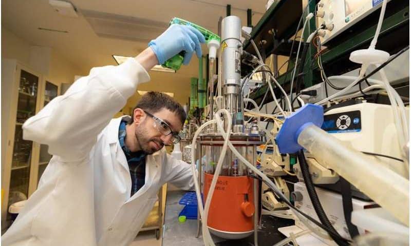 Why use living cells? Researchers are making chemicals with enzymes alone