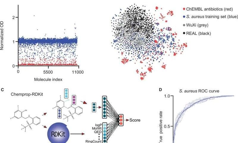 AI model designs new antibiotic for staph infections after exploring 46 billion compounds