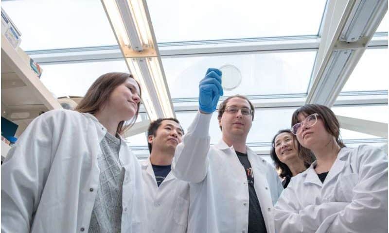 CRISPR variant selectively targets tumor DNA