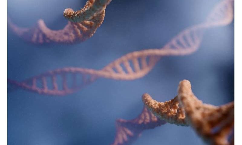 Nature’s photocopiers caught ‘doodling’—scientists say it could revolutionize how DNA is written