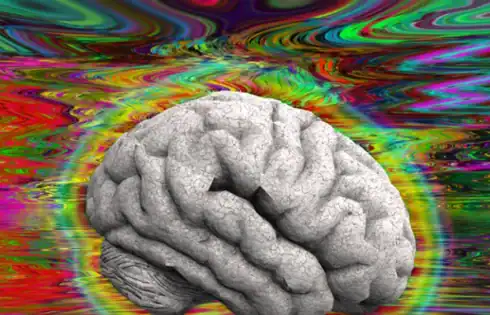 FDA awards priority vouchers to 3 undisclosed companies for investigational psychedelics