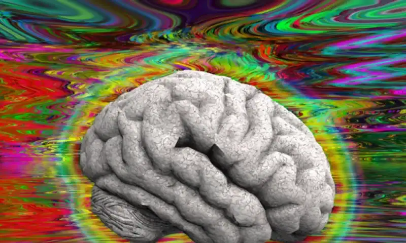 FDA awards priority vouchers to 3 undisclosed companies for investigational psychedelics