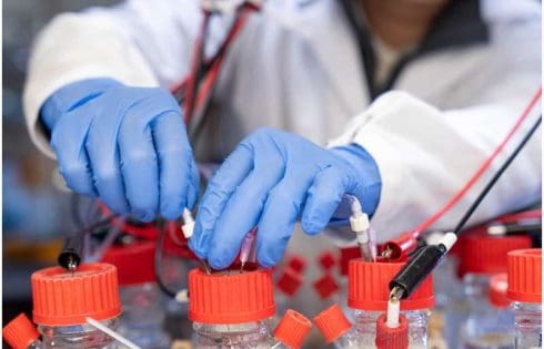 Two bacteria join forces to turn chemical signals into electricity, opening up low-cost sensing options