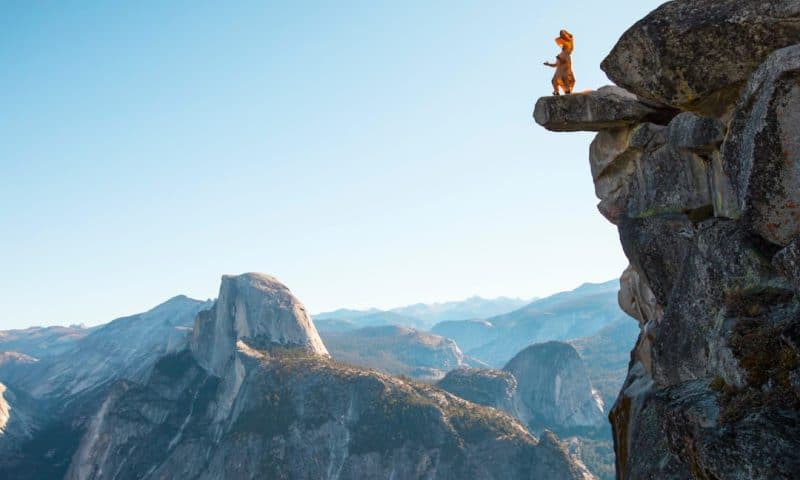 Smart Investors Navigate Patent Cliff Risk as Biotech Opportunities Multiply