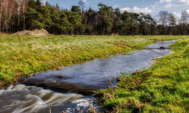 Smart Biotech Investors Unlock Passive Income Through Pharmaceutical Royalty Streams