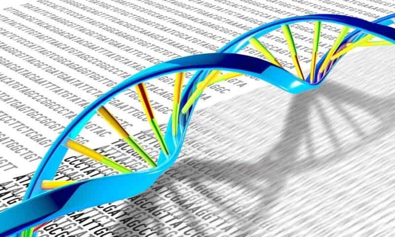 With large DNA fragment assembly, scientists can design microbes that produce countless complex products