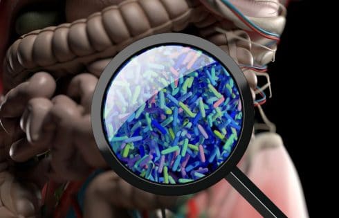 How Gut Bacteria Apply Reversible Epigenetic “Bet-Hedging” Strategy to Adapt to Change