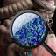 How Gut Bacteria Apply Reversible Epigenetic “Bet-Hedging” Strategy to Adapt to Change