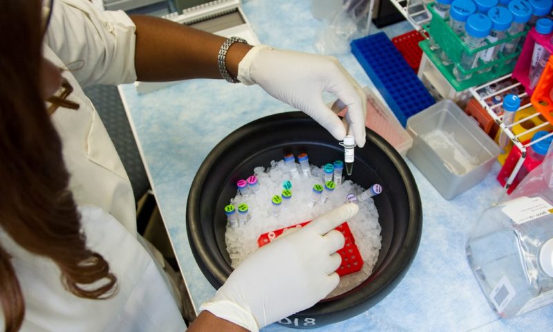 Revolutionary FDA Approval Catalyst Technologies Are Accelerating Drug Development Timelines
