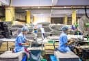 Smart Investors Track IND Filing Milestones as Biotech Value Drivers