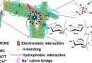 Water-based nanocrystal provides a sticky solution to a pesky agricultural problem