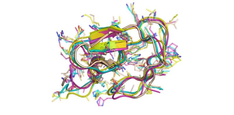 AI generates first complete models of proteins in motion