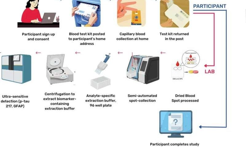 At-home blood test and brain testing could screen people for dementia risk