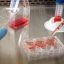 Biosimilar Competition Unleashes Unprecedented Investment Opportunities Across Global Healthcare Markets